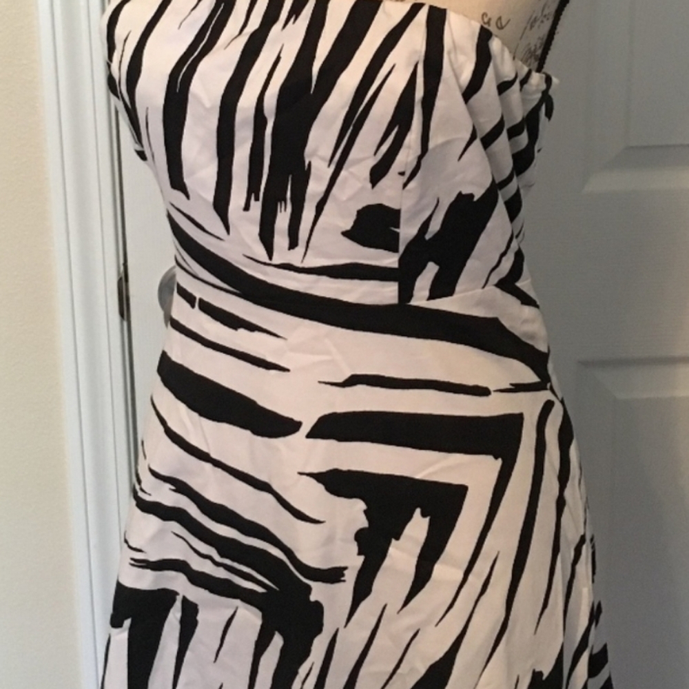 The Limited Zebra Print Dress - Picture 6 of 6